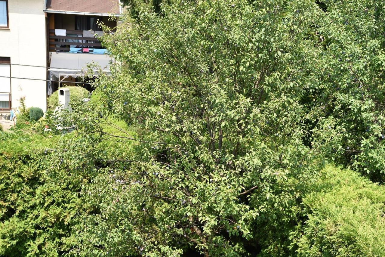 Apartman Jadranka Zaprešić Exteriör bild